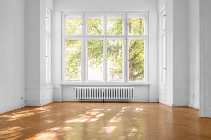 Bright, freshly restored wood double-hung windows in a Boston-area home, with natural light and a view of a tree outside
